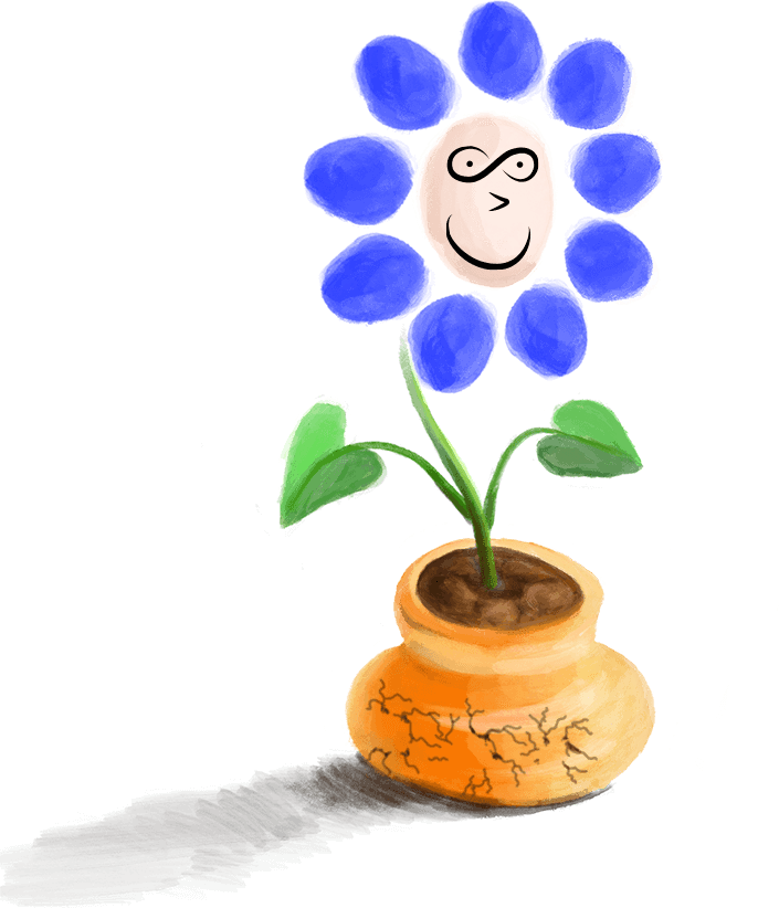 flower_top