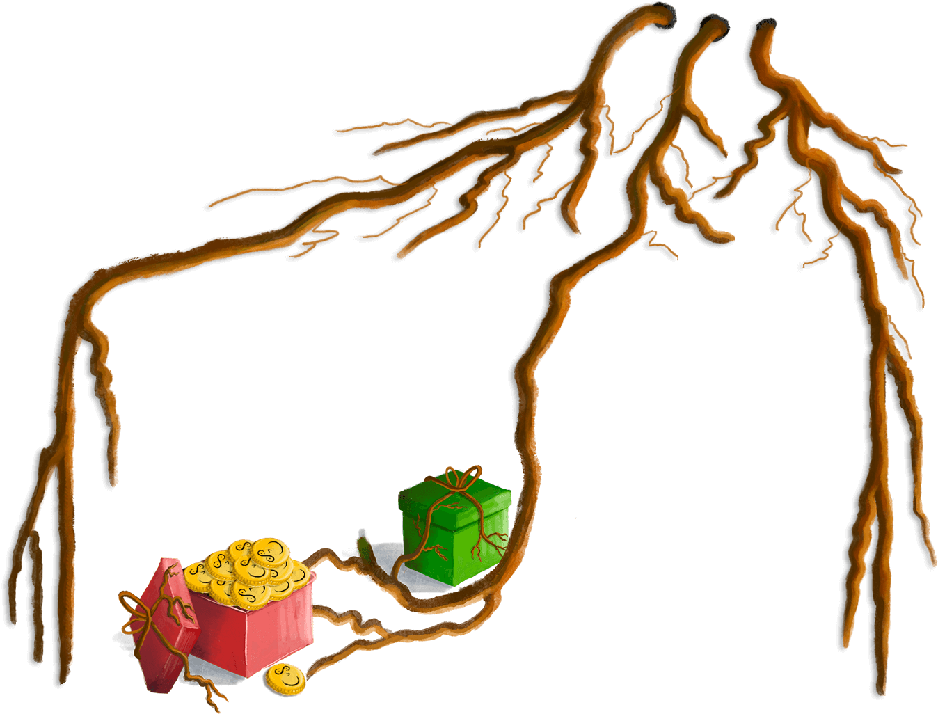 top_root